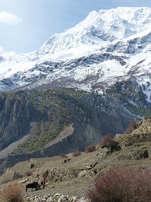 Gangapurna