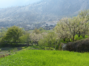 Marpha Village