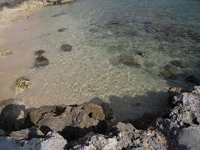 The waters are REALLY clear!