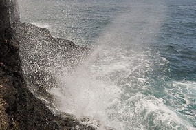 The blow hole
