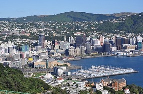 View of Wellington (and ship) from Mt. Victoria