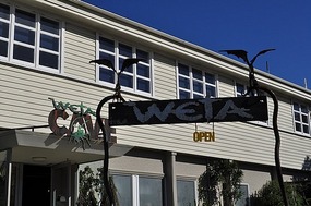 Weta Cave