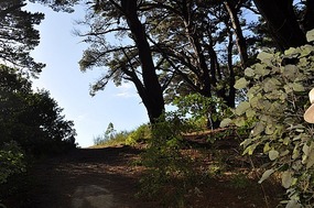 Where the Nazgul looked for Frodo