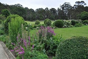 View of the Government Gardens