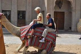 Camel ride