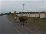 Fahrt zum Bokor Hill
