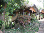 Unser Bungalow