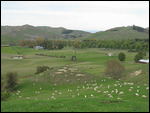 Die Farm