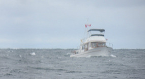 "Cast A Net" in the Waves