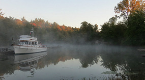 Misty Morning