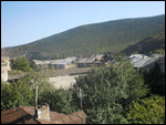 Gori