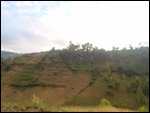Jacmel