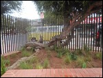 Johannesburg