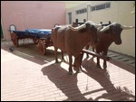Gaborone
