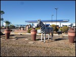 Mariental