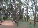 Ezulwini