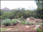 Ezulwini