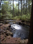 Ricketts Glen