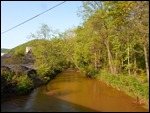Shamokin