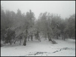 Azrou Pass