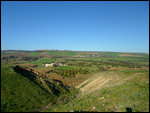 Tamzra