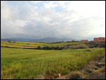 Zraibi