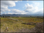 Zraibi
