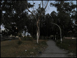 Ben Sergao