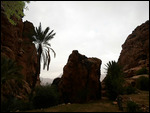 Tazoult