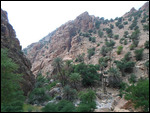 Tazoult