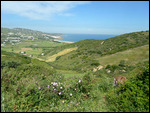 Oued Aliane