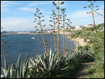 Tarifa