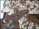 Toubkal