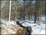 Chimney Rock Hike