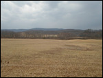 Shirleyburg