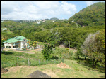 Prospect