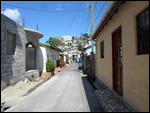 Canaries