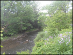 Bellwood