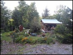 Roaring Spring