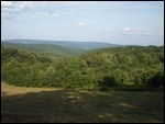 Roaring Spring