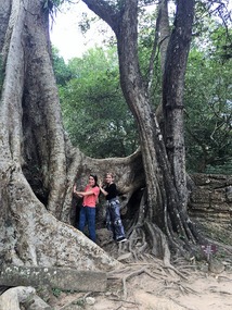 More Angor Wat....