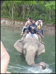 Elephant Safari