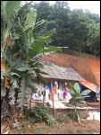 Typical house