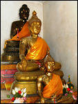 Buddha's