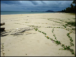 Ban Krut beach