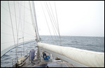 Sails up