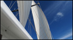 Sailing across the pacific