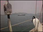 4 mast abandoned boat