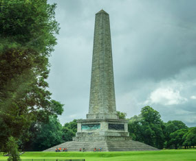 Wellington Testimonial