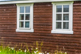 Can you see the midges?
